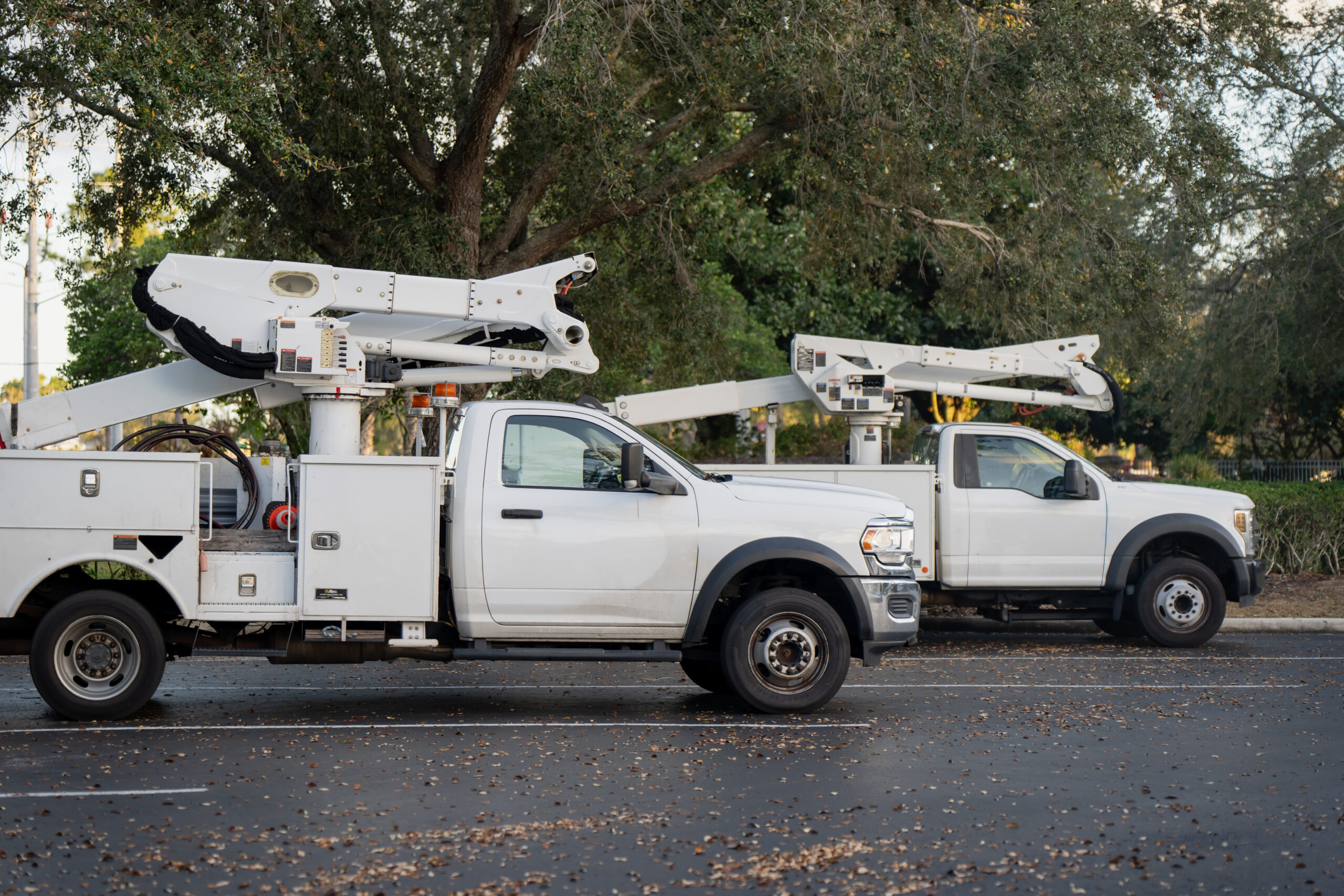 Two white bucket trucks parked side by side on an asphalt lot beneath large trees, showing folded boom lifts and service bodies outdoors in America